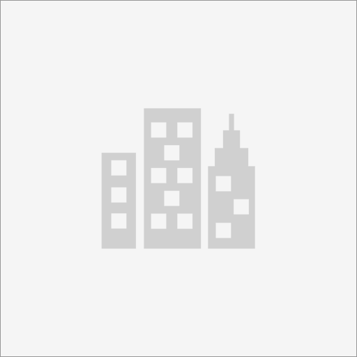 Director Operational Excellence I Electronics